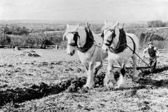 2248-E-Dowson-Ploughing